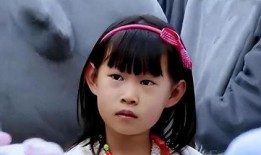 娱乐吃瓜酱单身基因,单身基因背后的秘密