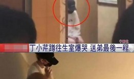 娱乐圈吃大瓜大结局视频,真相大白，明星命运转折点