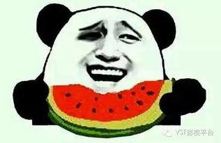 黑道吃瓜网,揭秘网络江湖背后的真实故事